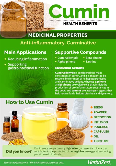 cuminin|Cumin: Benefits and Side Effects